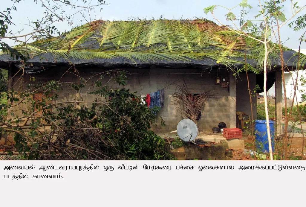 Farmers are hanging in green houses and searching for shadow !!